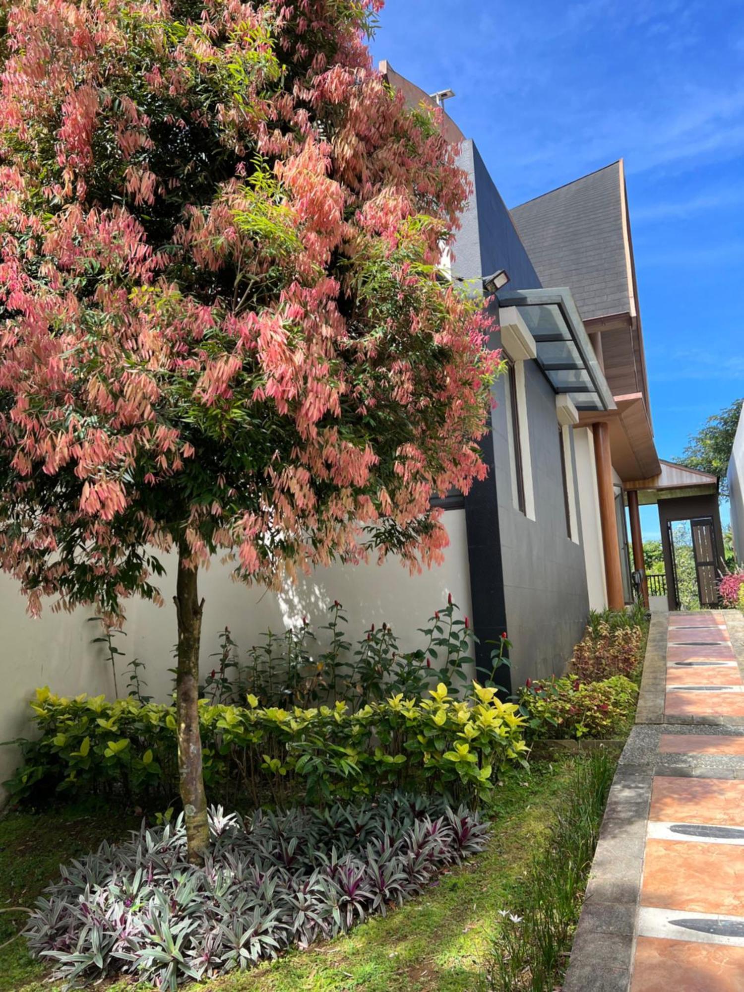 Villa Ophelia At Vimala Hills *