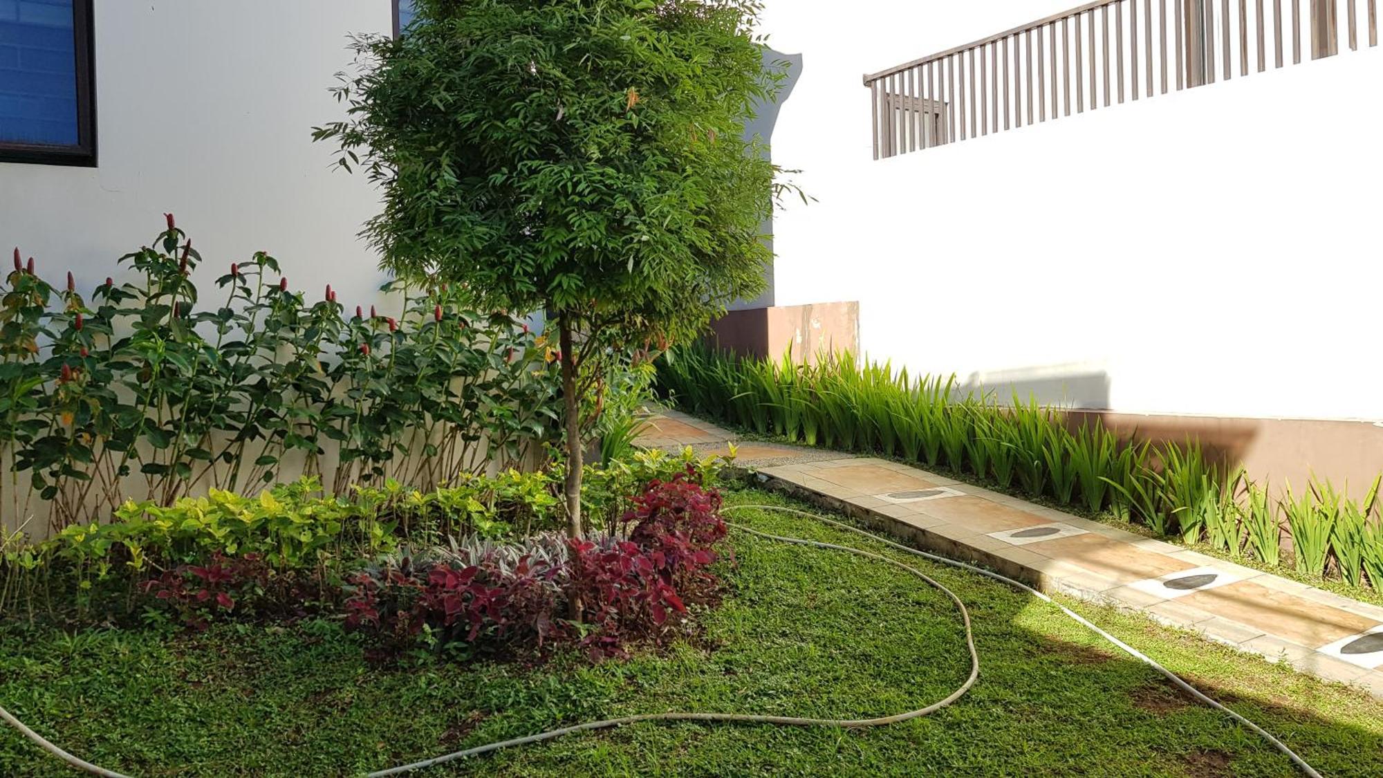 Ophelia At Vimala Hills