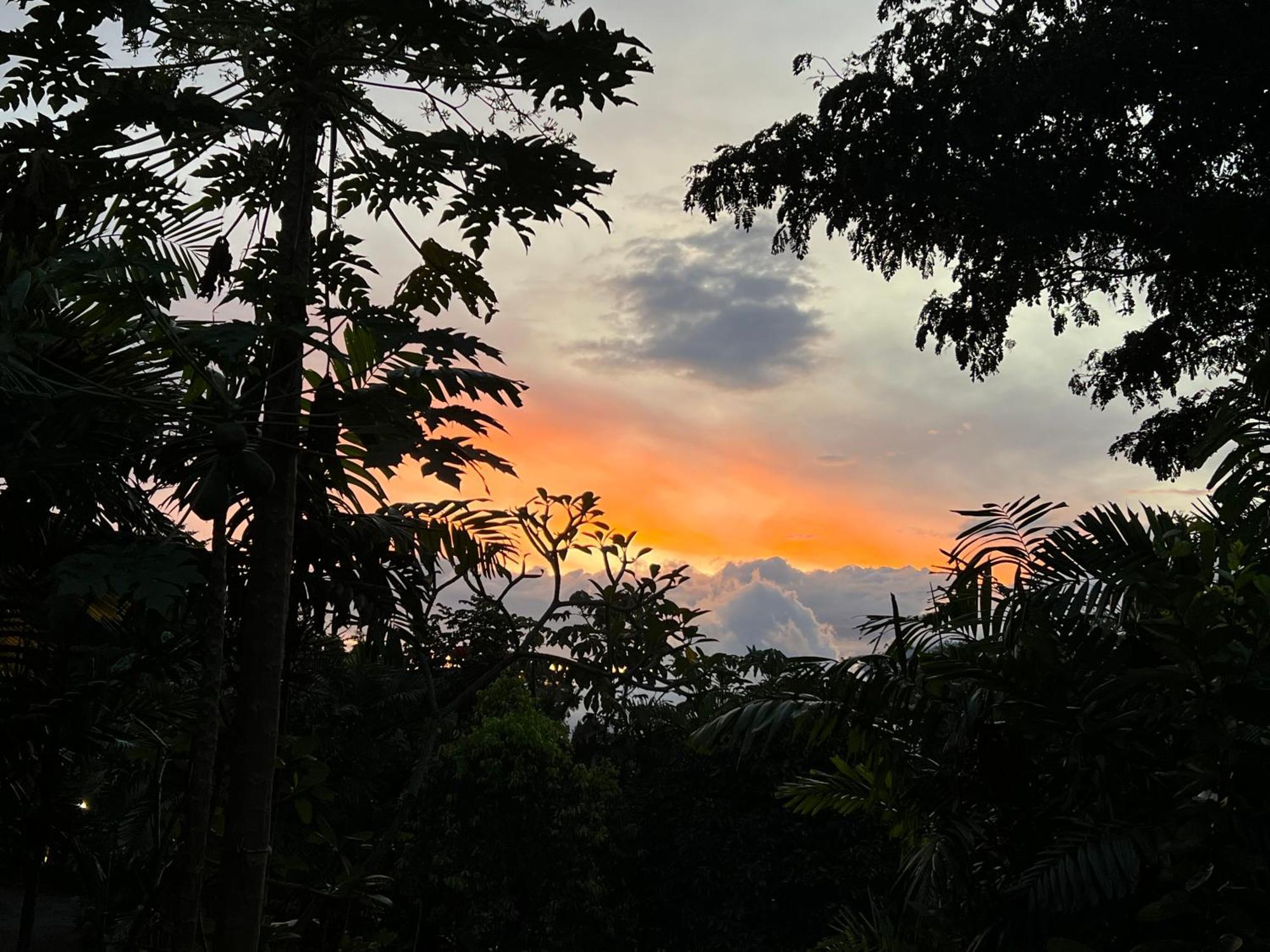Ophelia At Vimala Hills Bogor